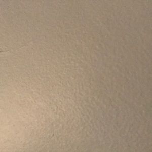 Meet your Posher, Katy